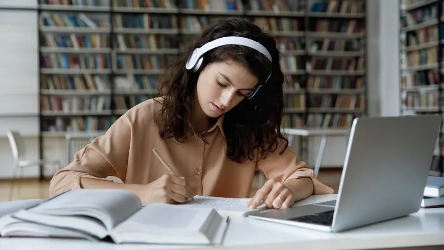 reddit essay writing service